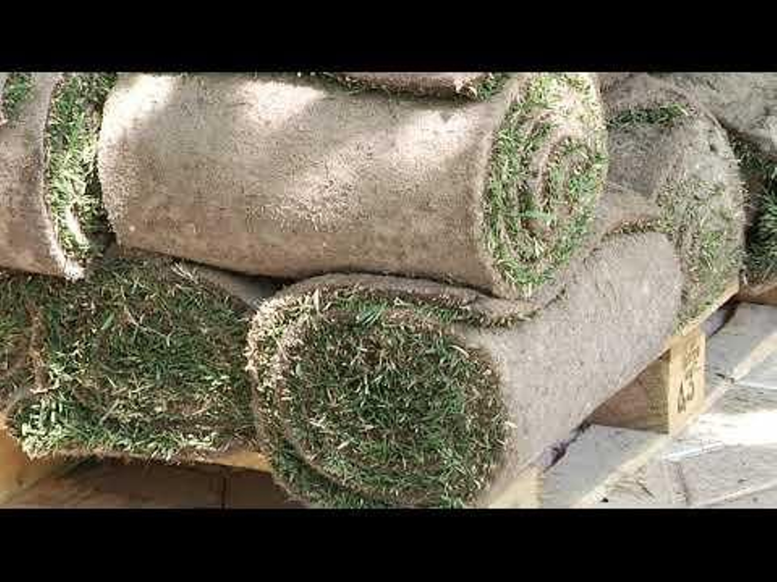 El Concello mejora zonas verdes del parque de San Lázaro