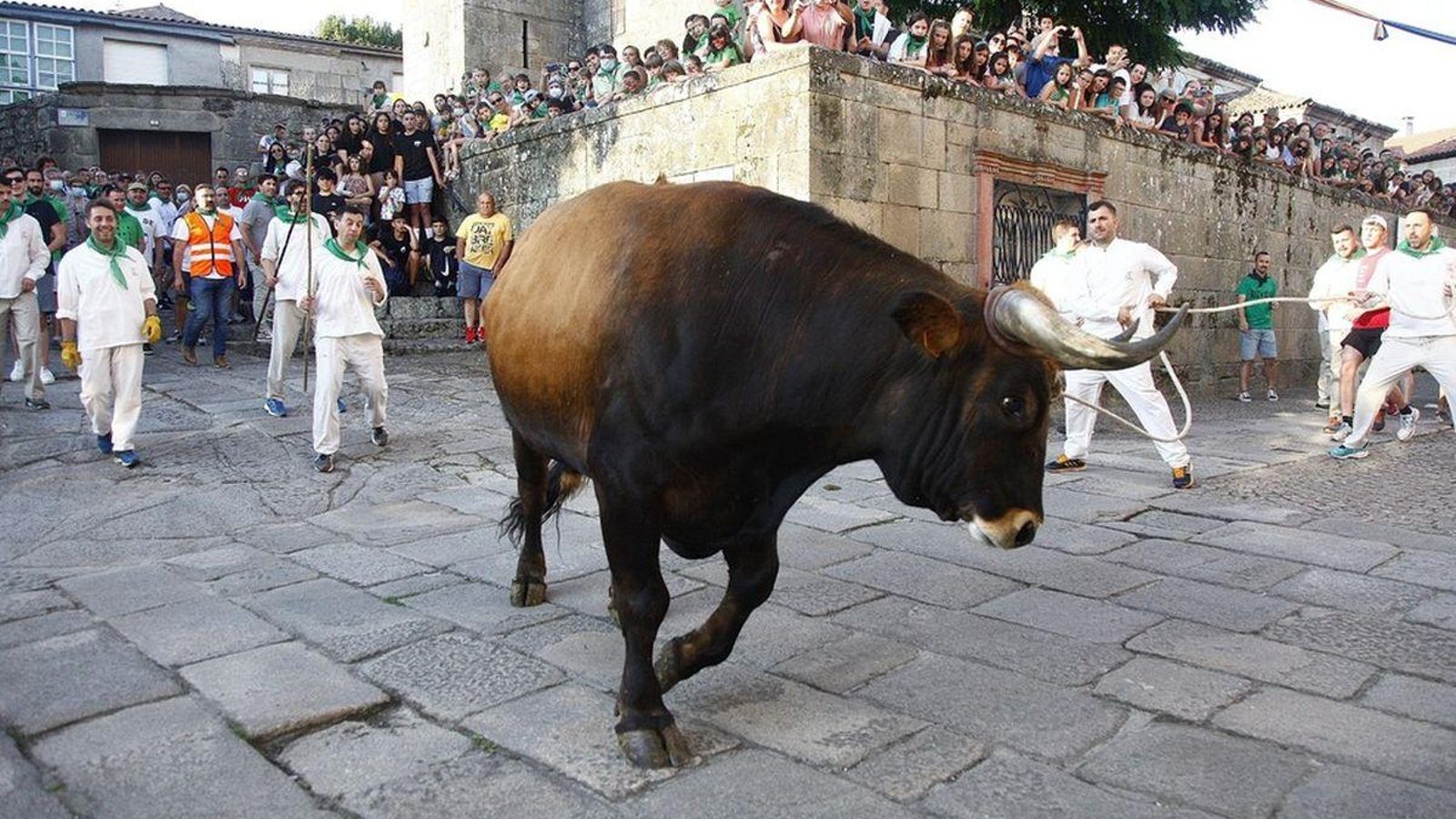 Carreira do boi na Festa do Boi de 2022.
