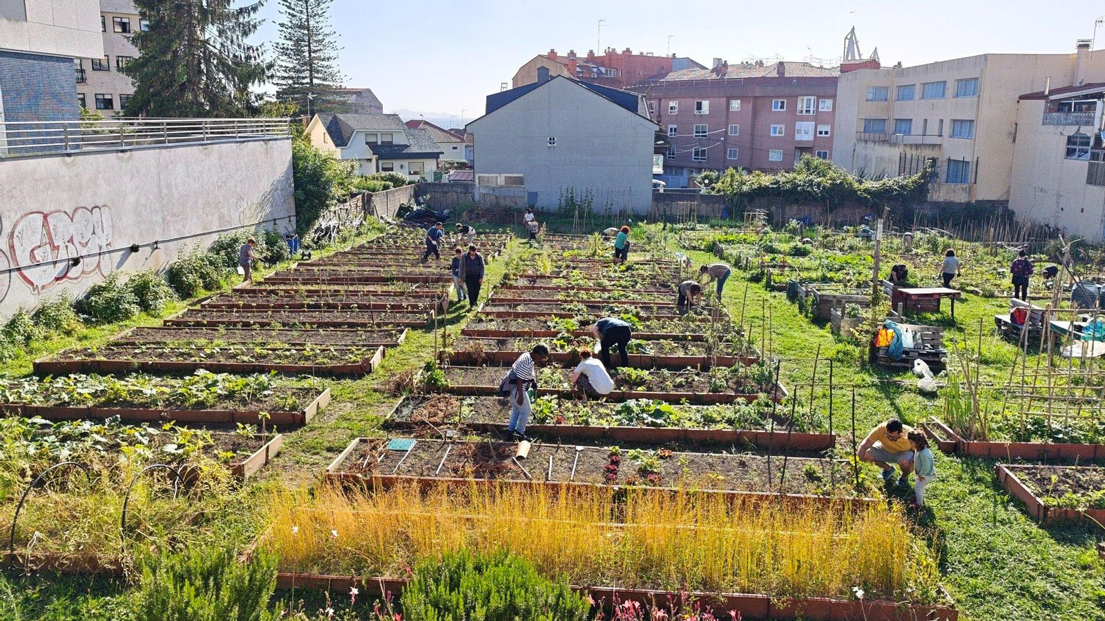 Entre las viviendas de Teis hay 2.151 metros cuadrados de terreno dedicados al cultivo en el programa municipal de huertas urbanas.