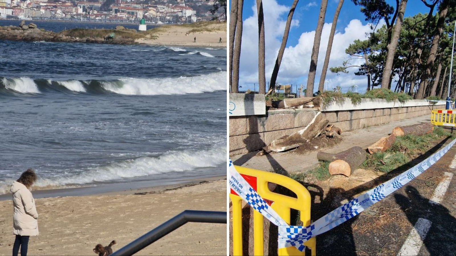 En Samil la caída de árboles produjo tambiñen la rotura de muros.