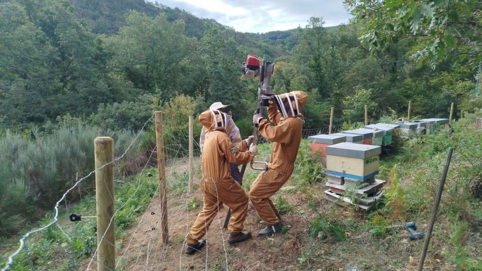 Trabajos de colocación del cierre en un colmenar de Valdín.