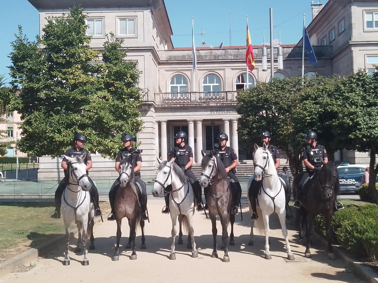 Los seis caballos policía de la provincia se presentaron ayer frente a la Subdelegación del Gobierno.