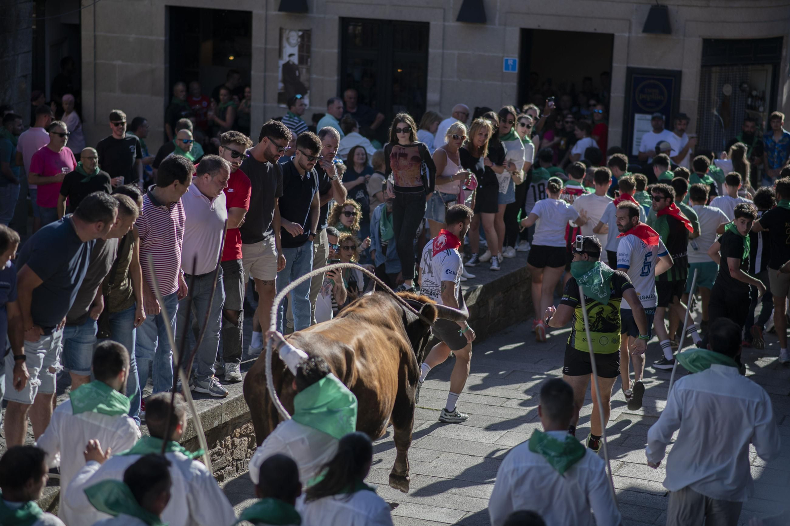 Galería | Allariz desfruta a Festa do Boi con paixón e fervor ata o último suspiro