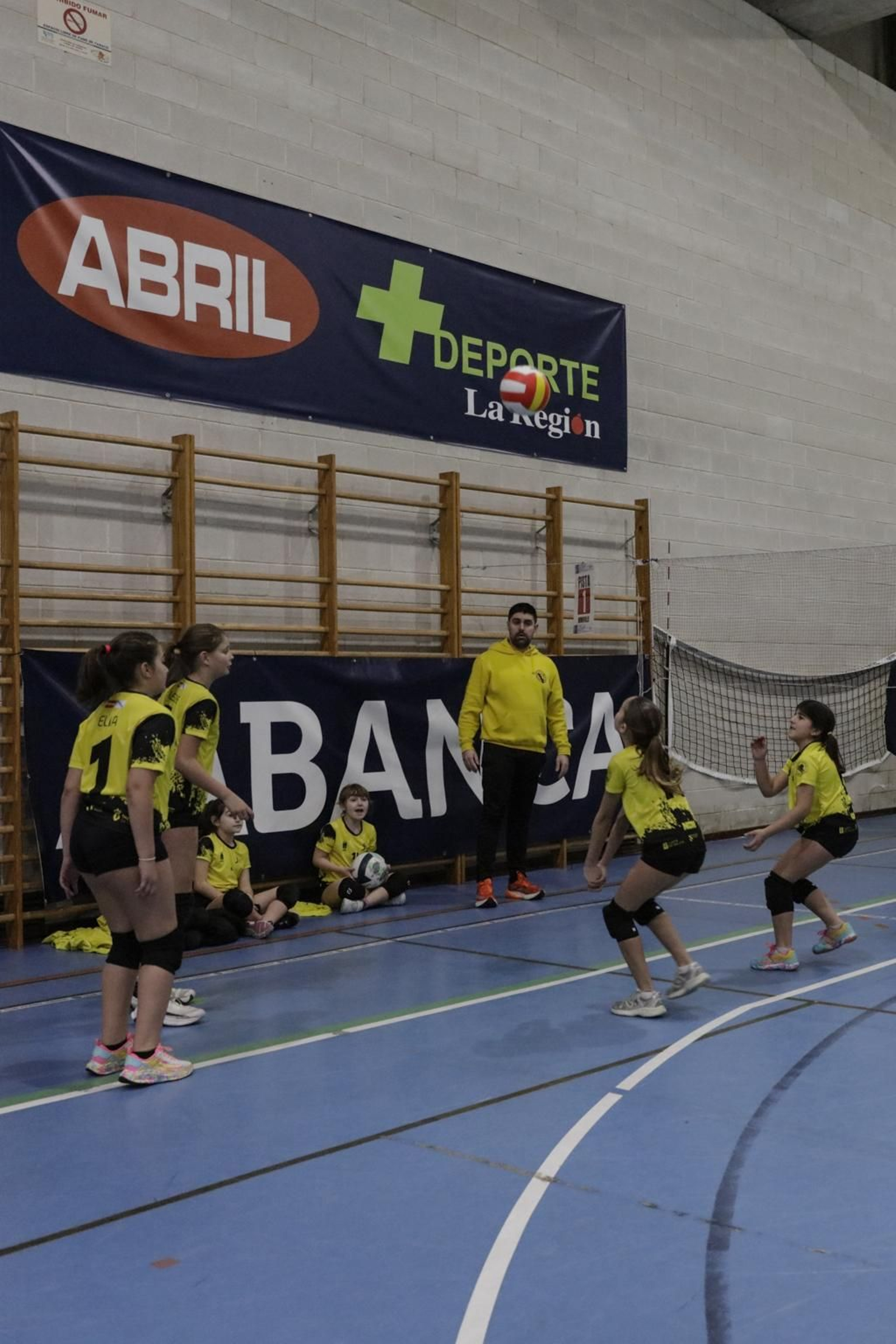 Galería | Voleibol, en fotos