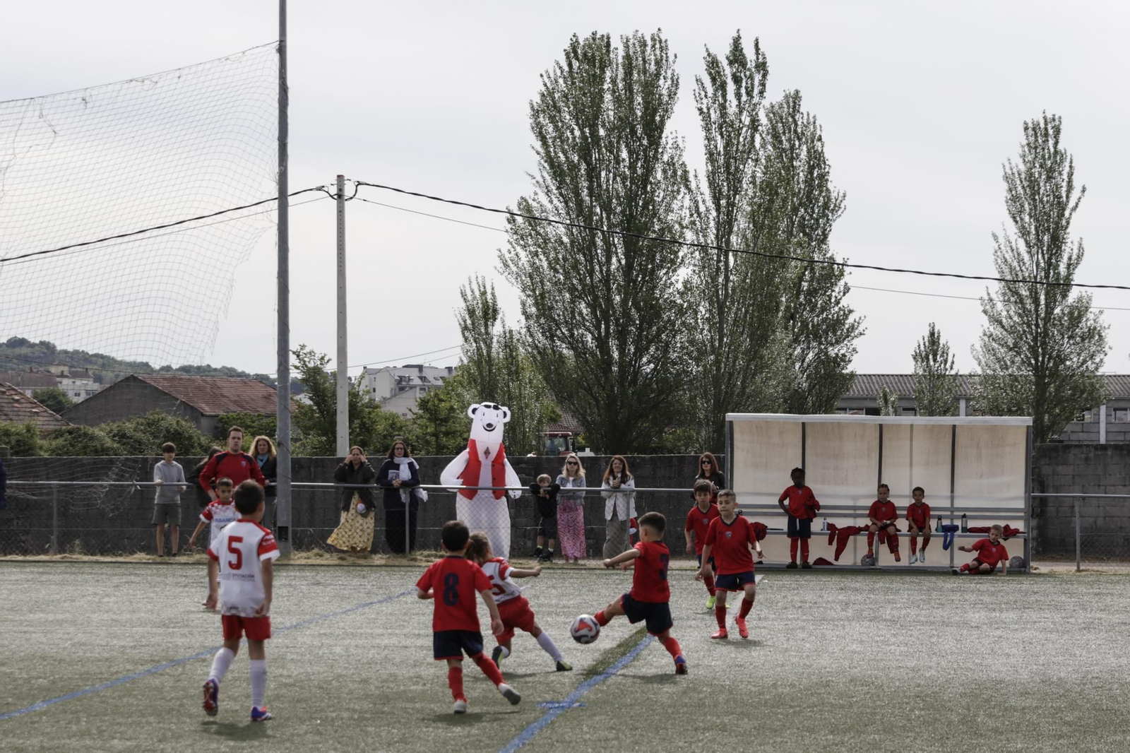 Galería | La fase intermedia del Campeonato Gallego de Fútbol 8 aterriza en Xinzo de Limia