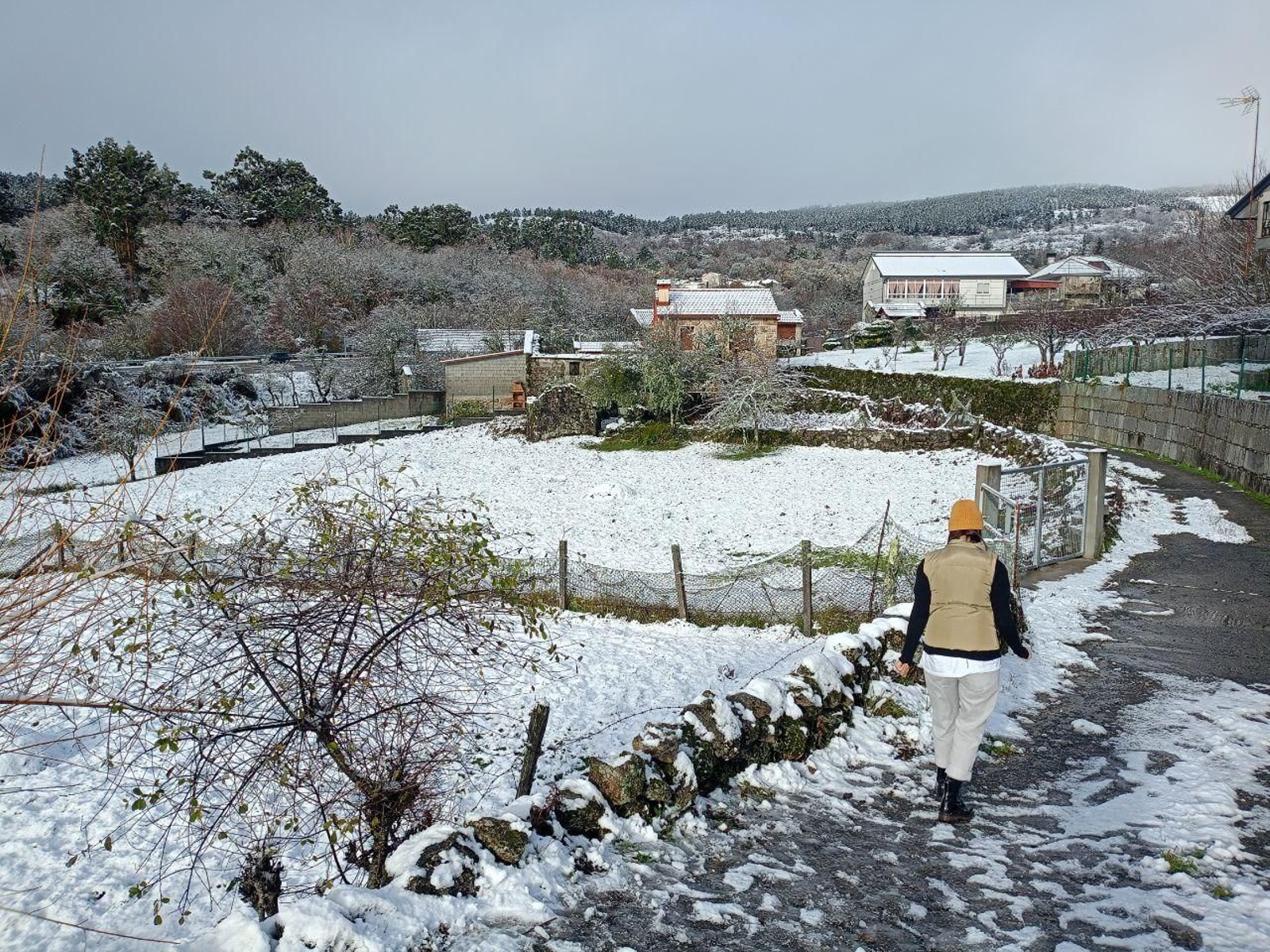 Galería | La nieve da la bienvenida al invierno en A Cañiza