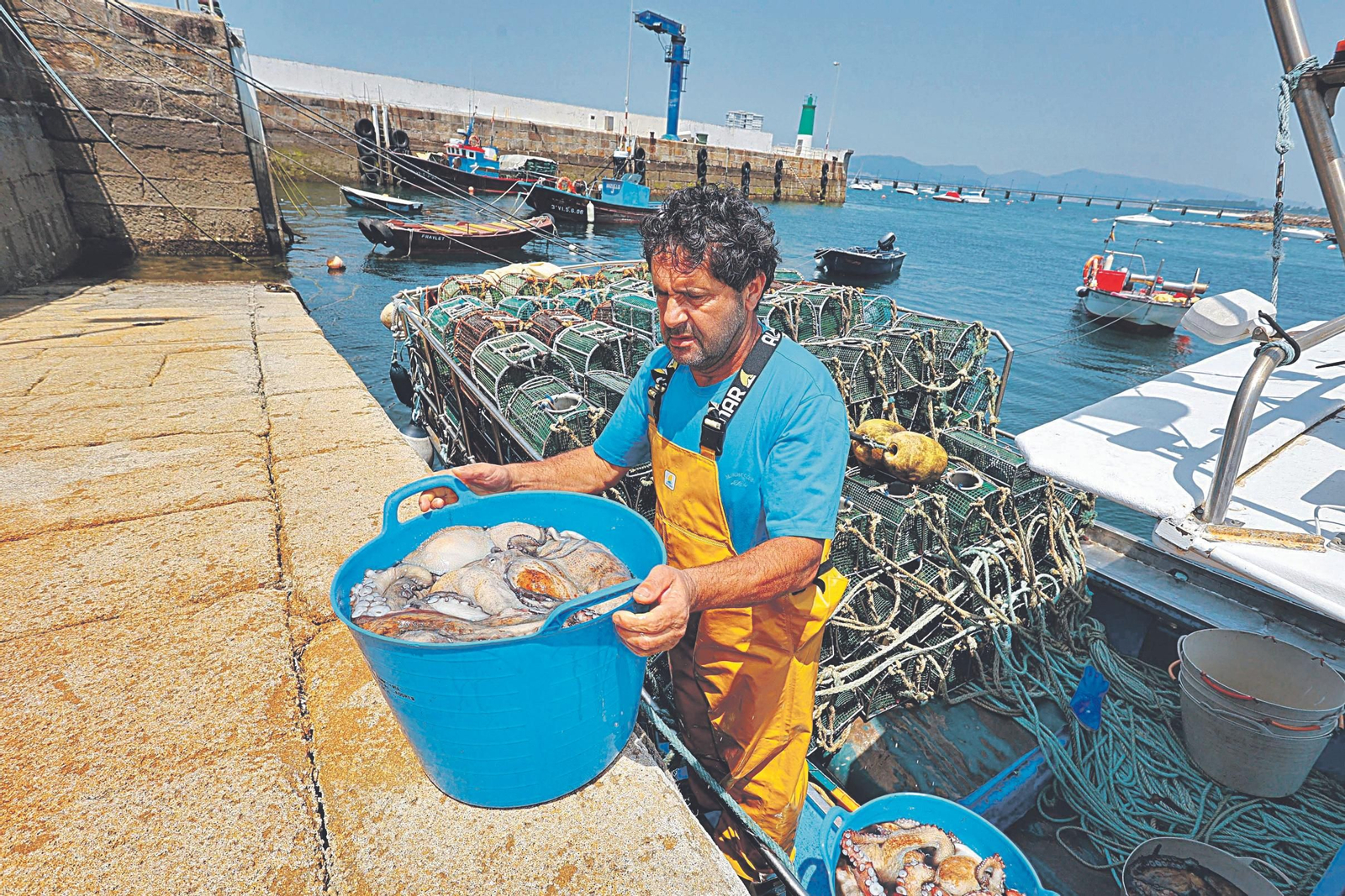 Un pescador descargando el pulpo capturado por sus nasas en el puerto de Canido.