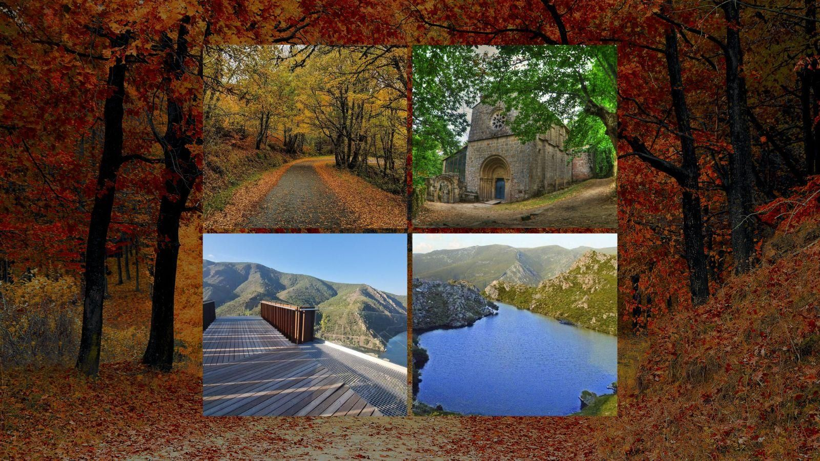 Ourense se transforma en otoño