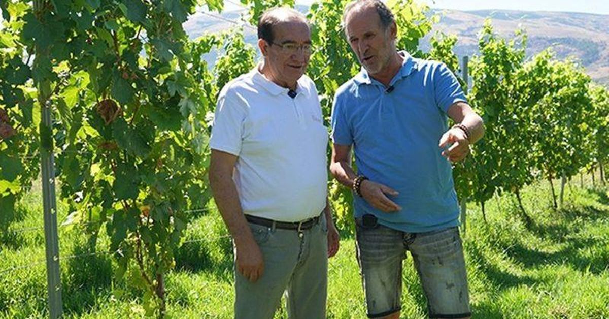 Reconocimiento sostenible de una bodega de O Barco de Valdeorras
