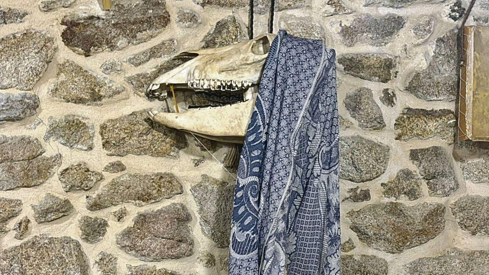 La Rinchona aparecerá por primera vez el próximo 24 de enero.