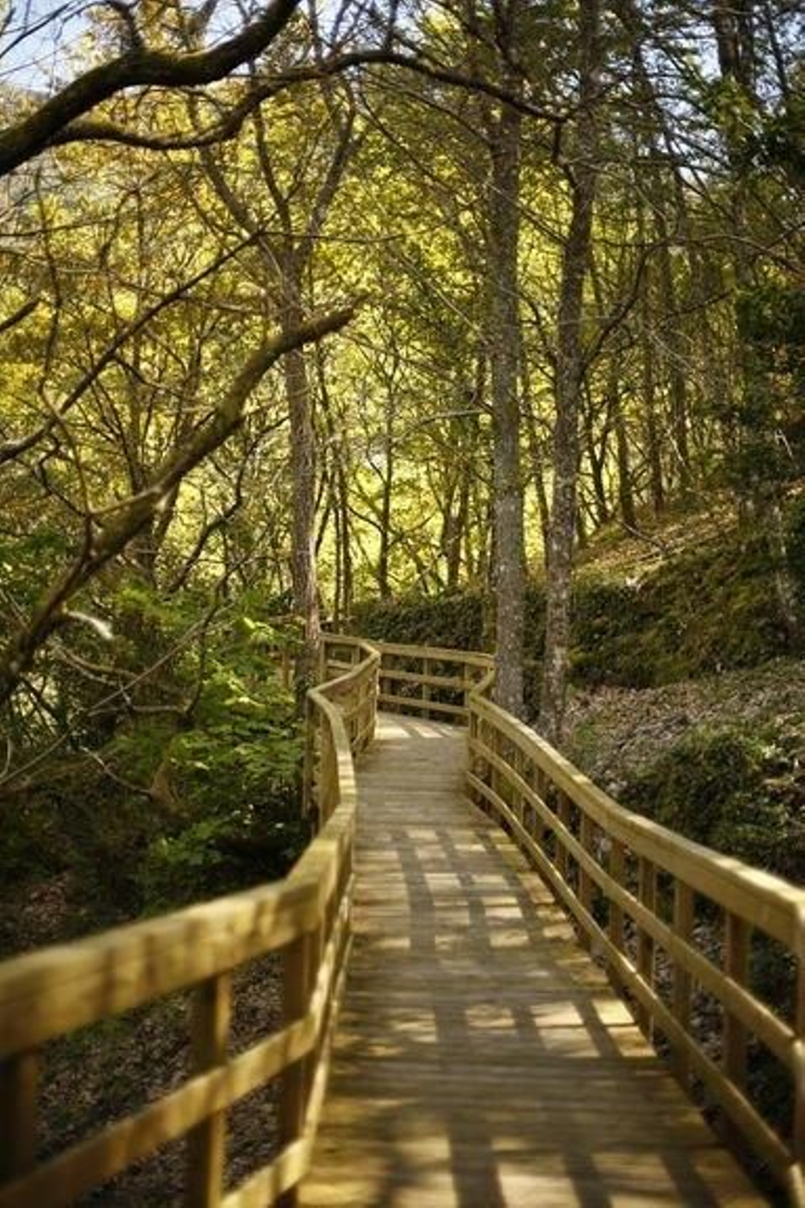 Parada de Sil. 02-09-13. Provincia. Ruta da fábrica da luz en Para de Sil.Foto: Xesús Fariñas