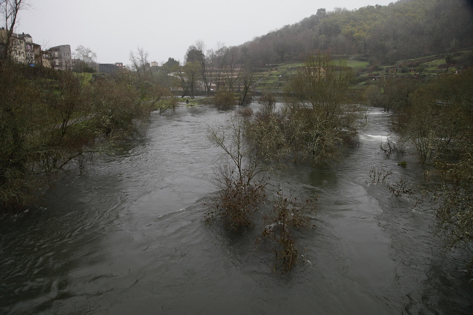 Galería | La crecida de los ríos anegan la provincia de Ourense