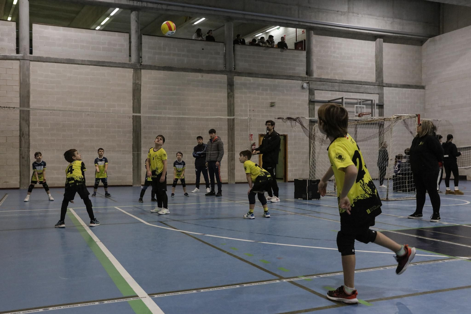 Galería | Voleibol, en fotos
