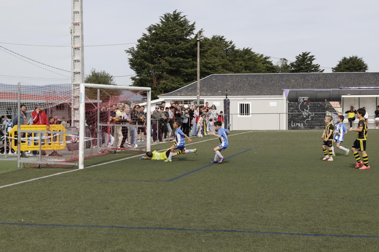 Galería | La fase intermedia del Campeonato Gallego de Fútbol 8 aterriza en Xinzo de Limia