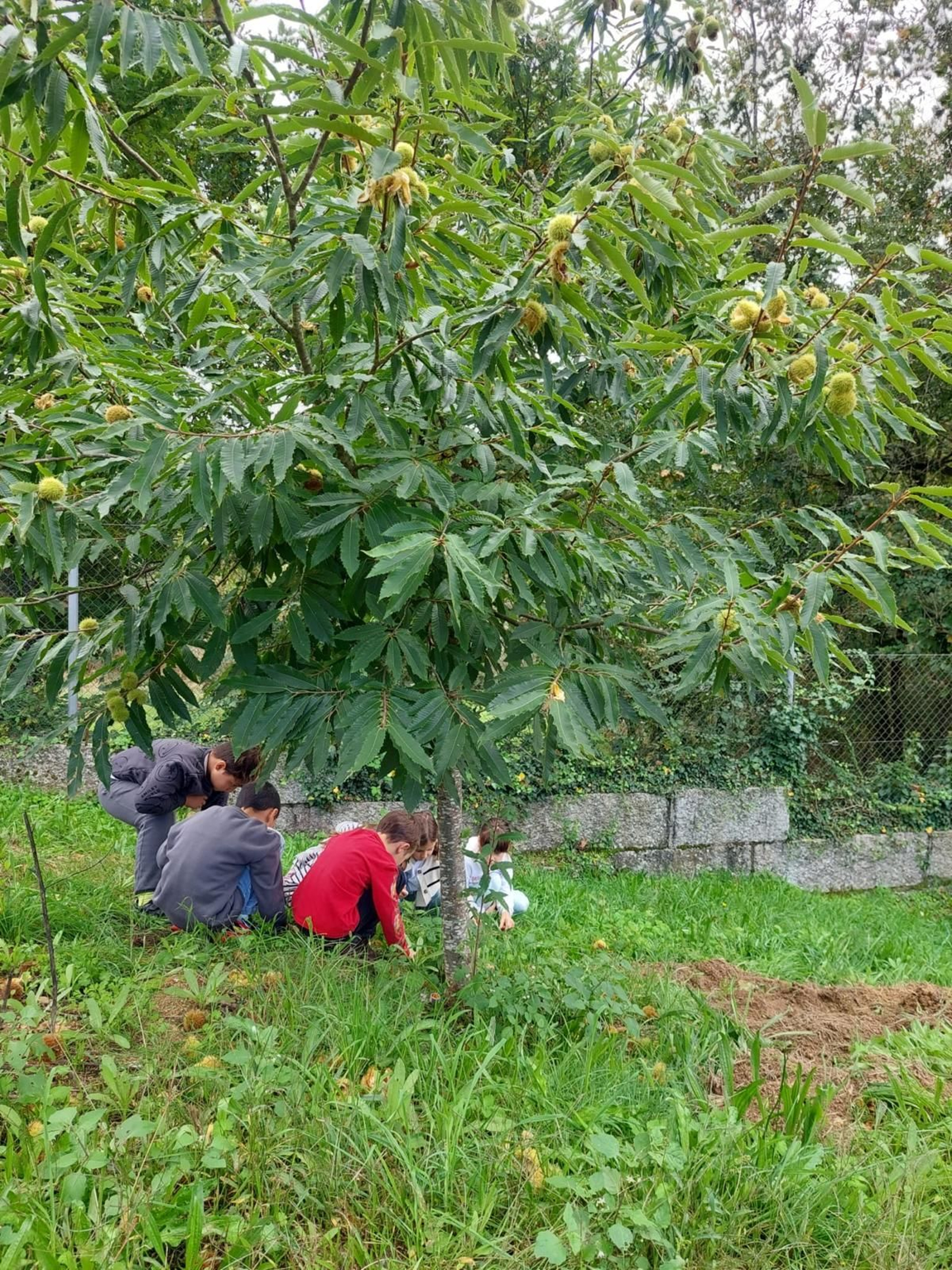 A natureza como mestra no Ruxidoiro