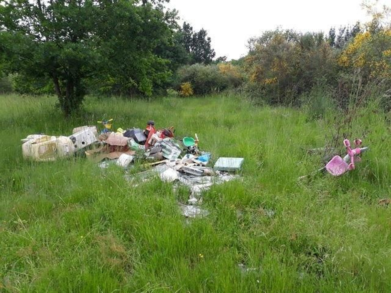 Fotodenuncias_18-06-2018_3_result