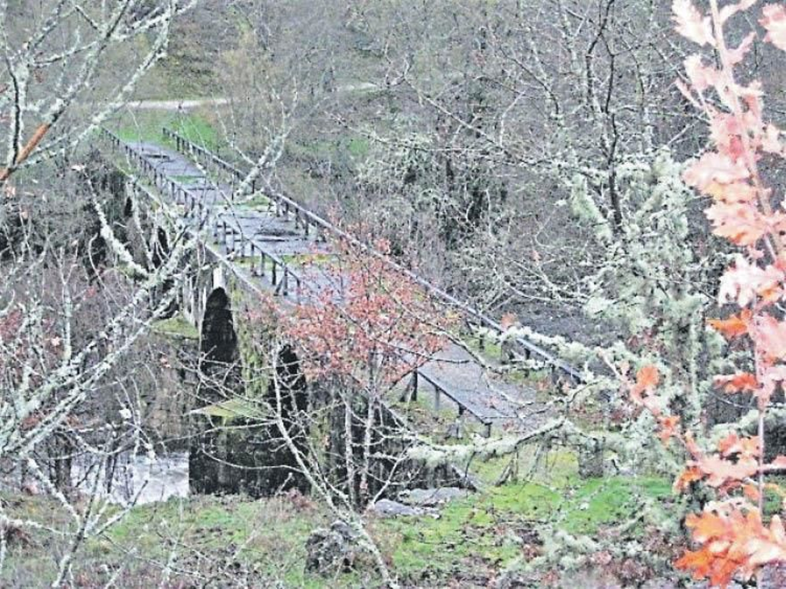 Ubicada en un paraje de ensueño, esta Ponte Freixo sobre el Arnoia es del siglo II