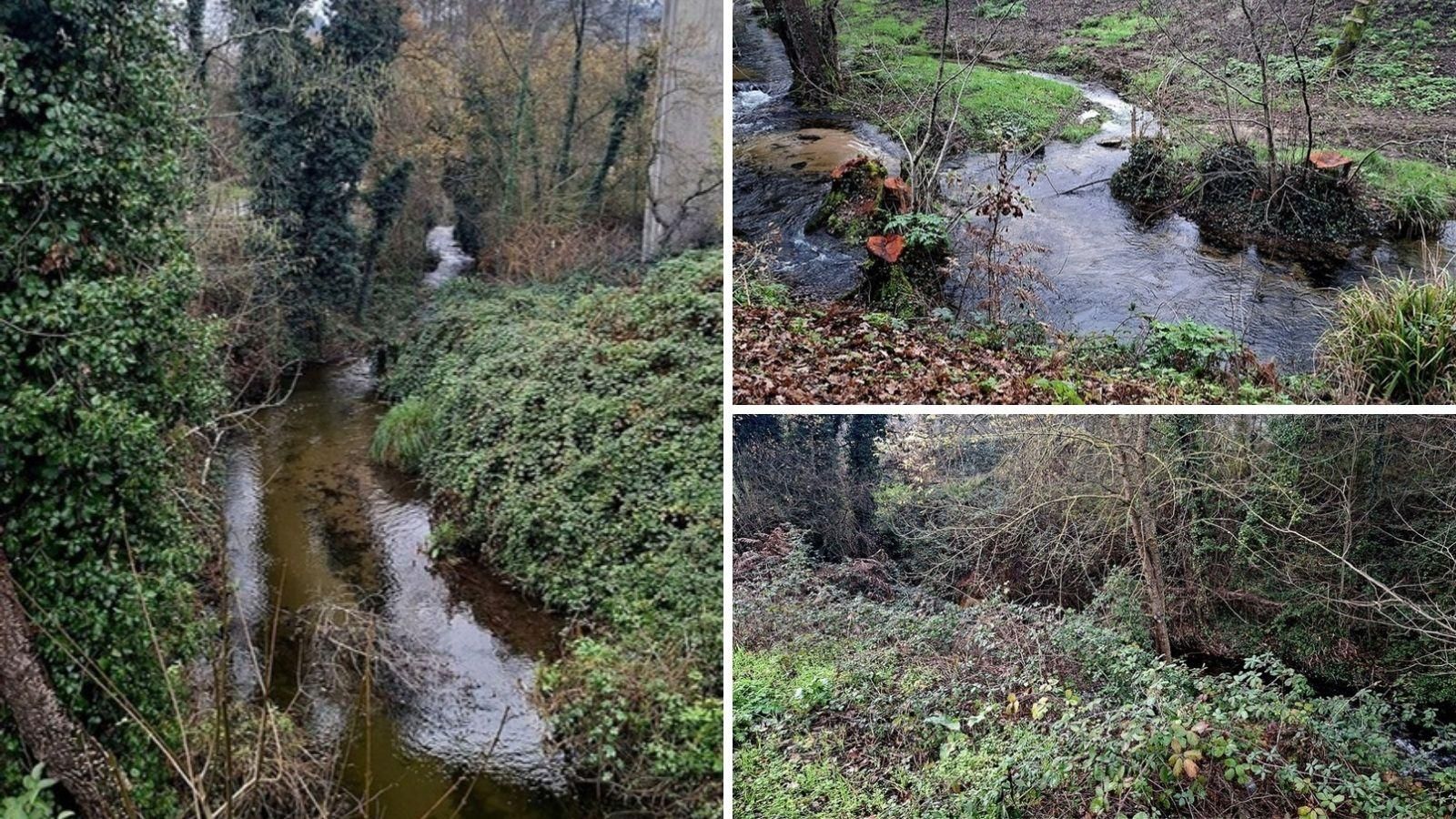 O Amazonas? Non, Barbadás.