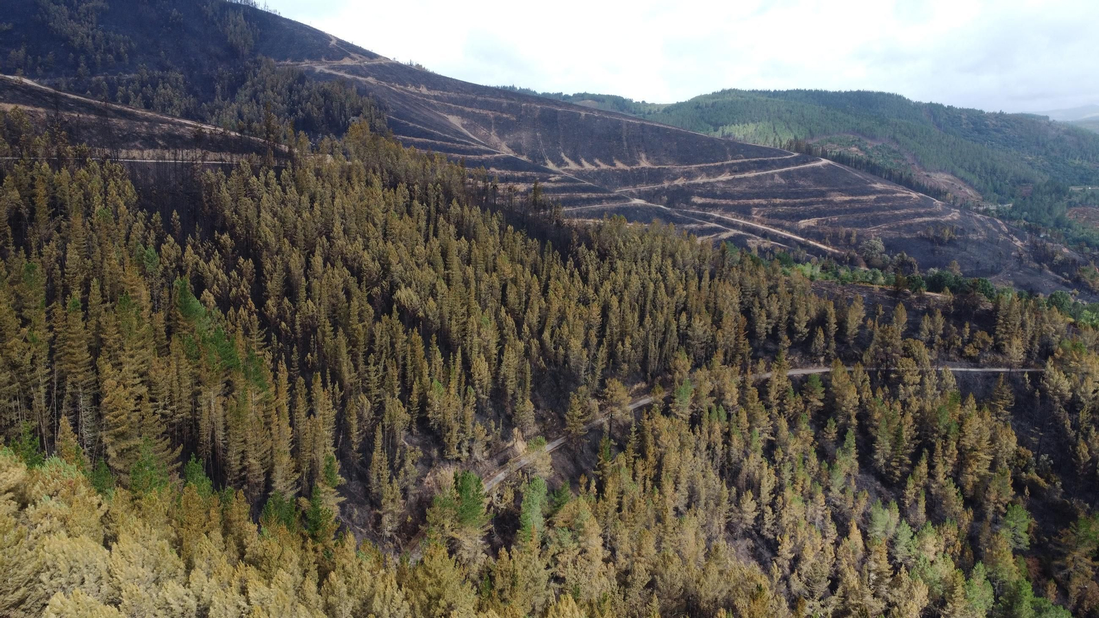 entre freixeiro y san pedro 4.JPG