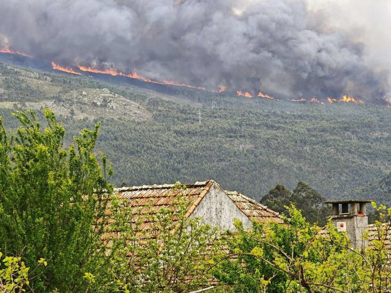 Galería | Las llamas devoran el monte Galleiro, entre Mos, Ponteareas y Pazos de Borbén