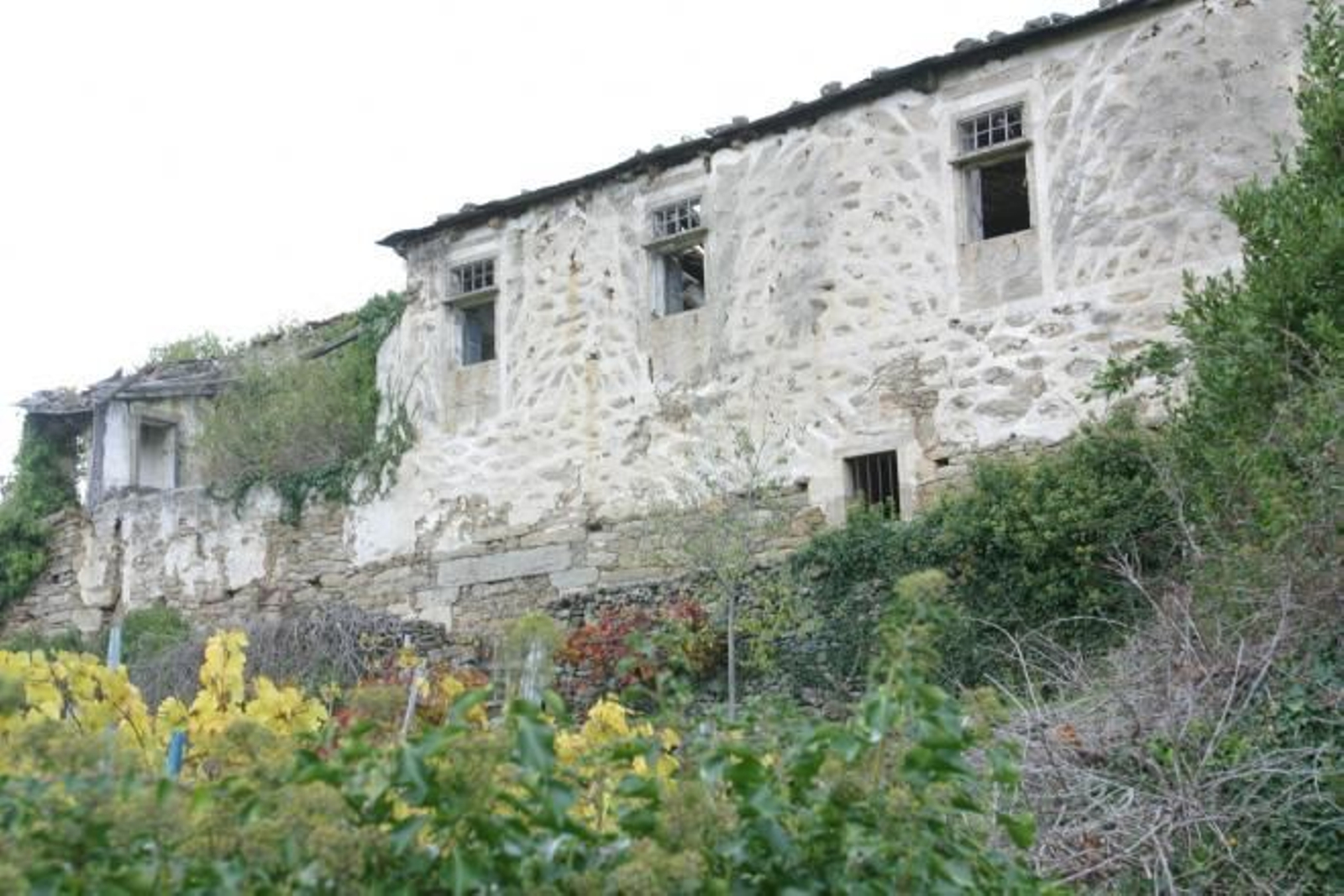 Deterioro del Monasterio de San Paio de Abeleda