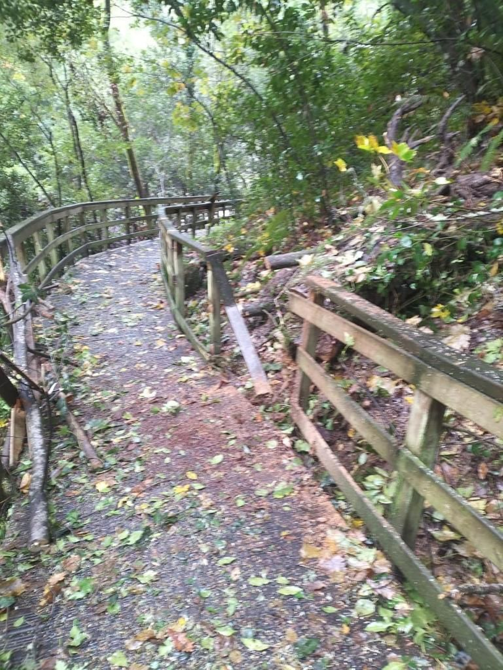 Destrozos de Domingos