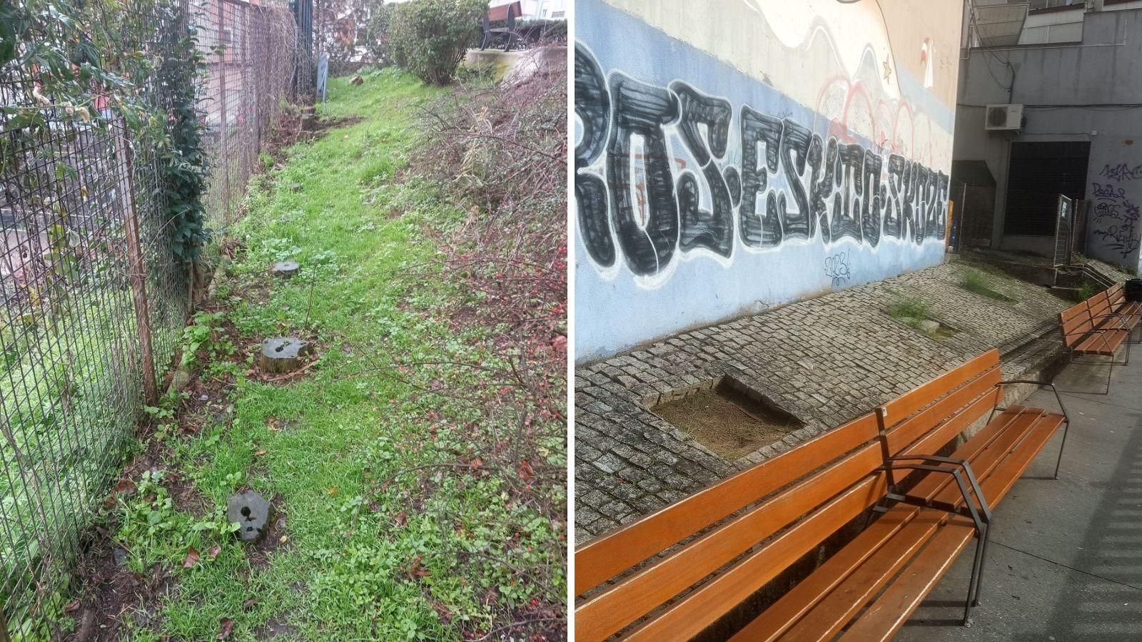 Ecología solo en la propaganda