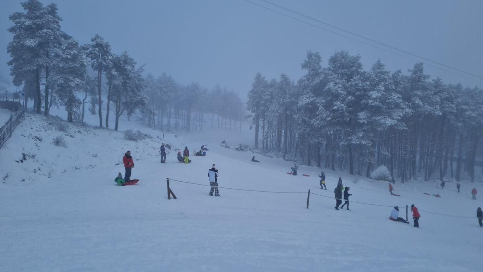 Los trineos fueron los protagonistas este sábado en Manzaneda