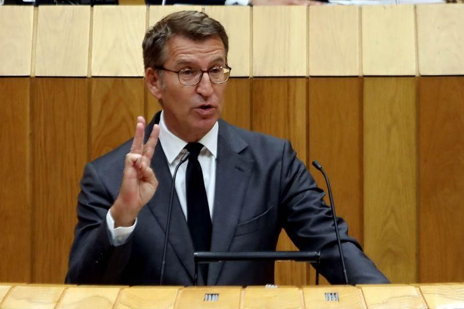 Núñez Feijóo durante su intervención (VICENTE PERNÍA).