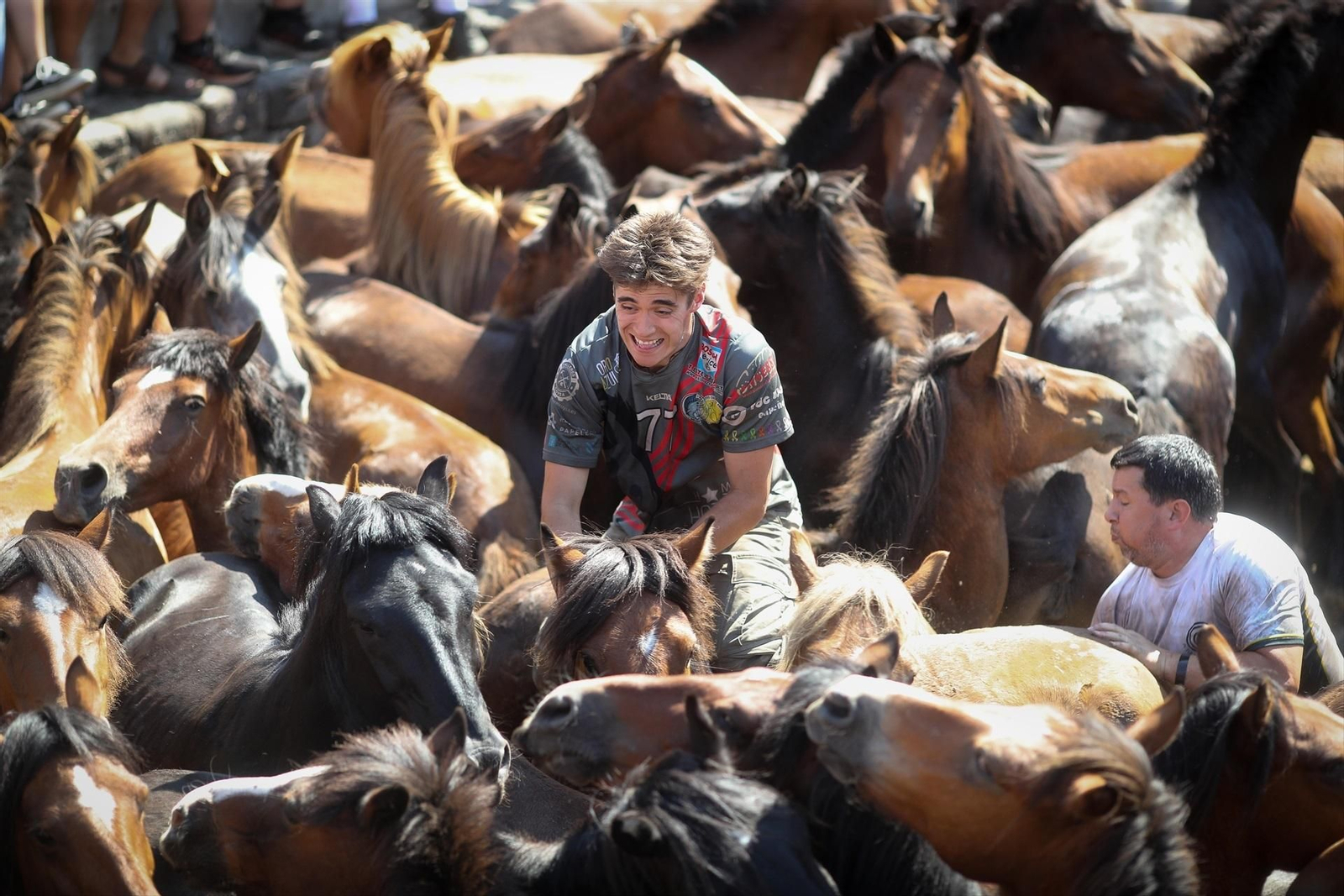 Una Rapa das Bestas de Sabucedo llena de fuerza, tradición y emoción, en fotos