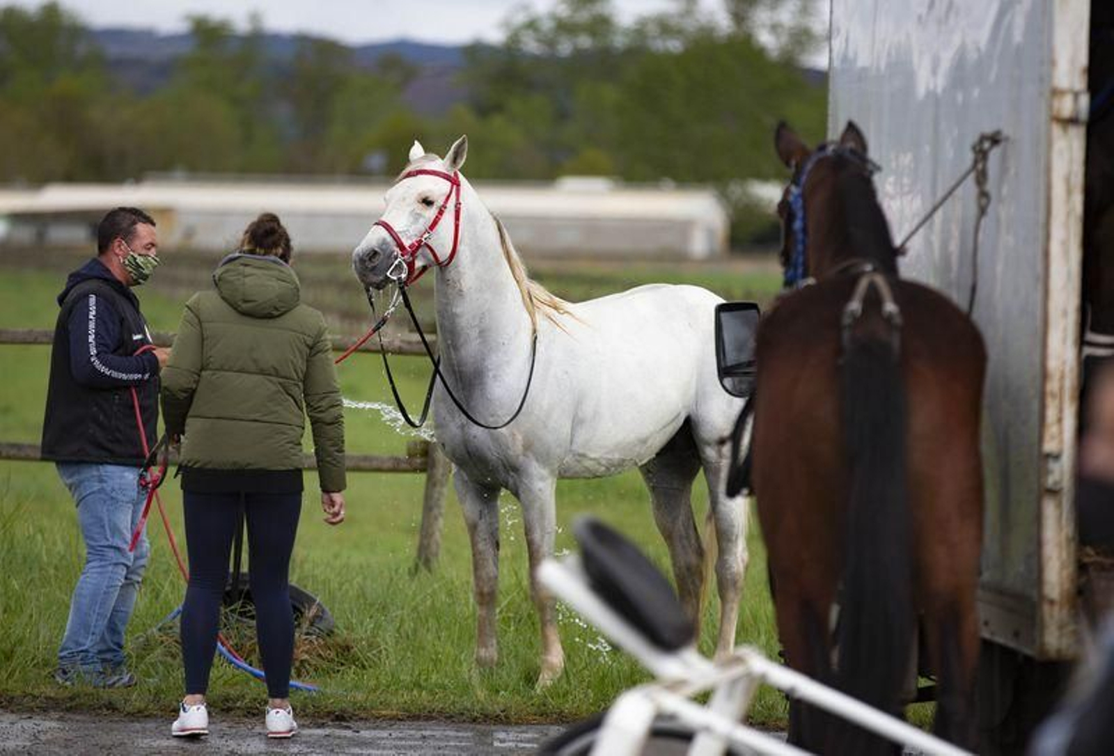El hipódromo de Antela acogió la Copa Deputación de Hípica en modalidad de velocidad y trote en el hipódromo de Antela (Fotos: Xesús Fariñas)