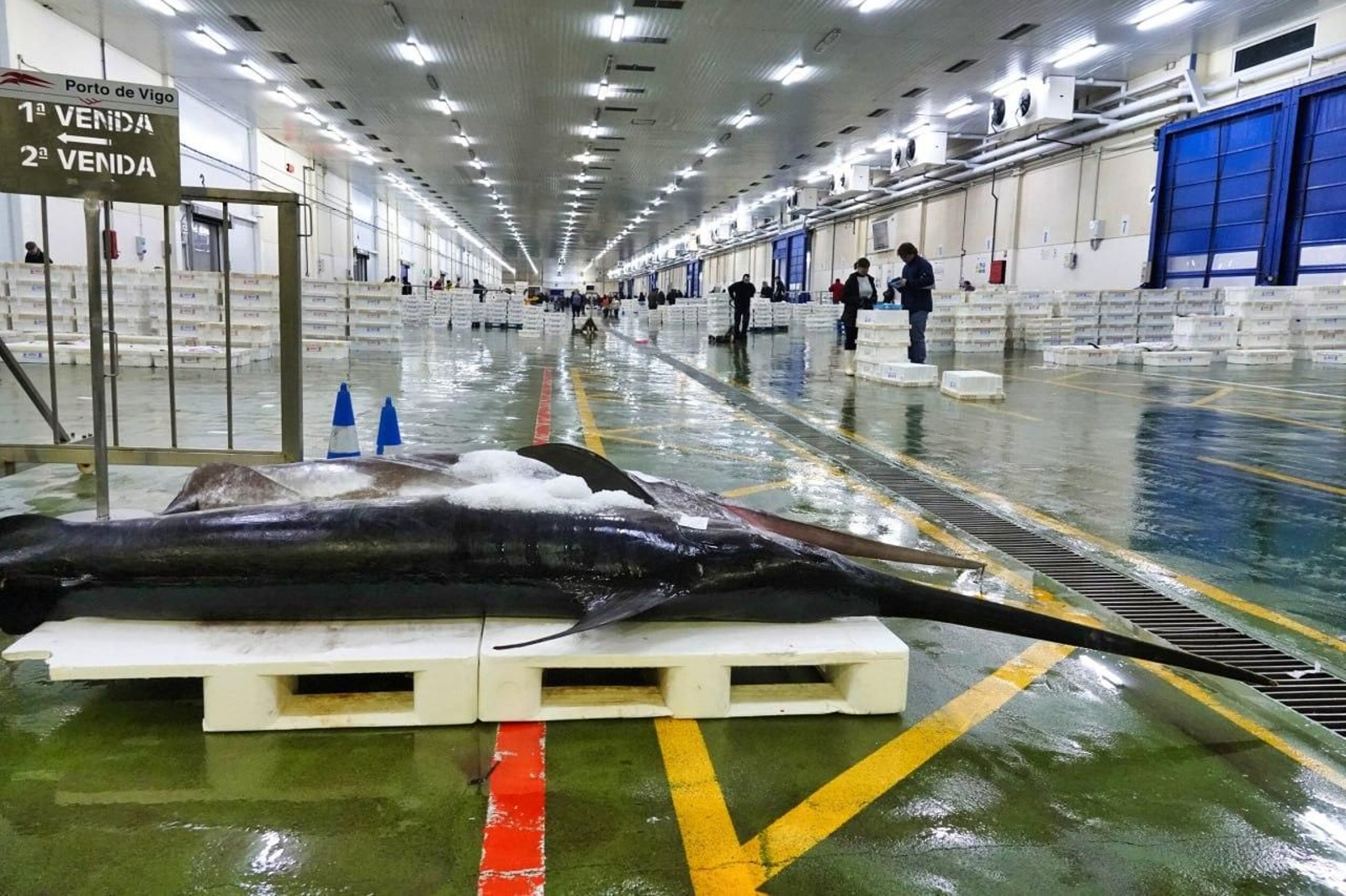 Interior del edificio central de la lonja y mercado del Berbés.
