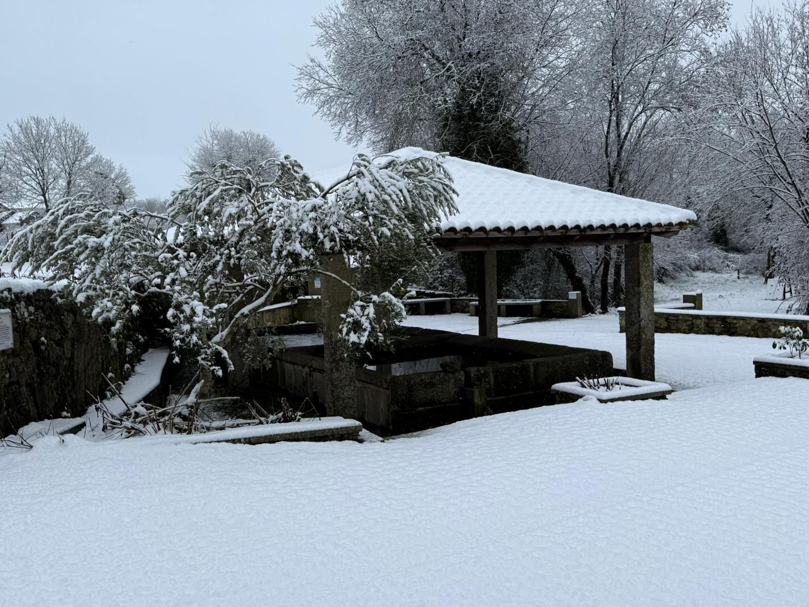 El blanco de la nieve toma protagonismo en Cualedro.