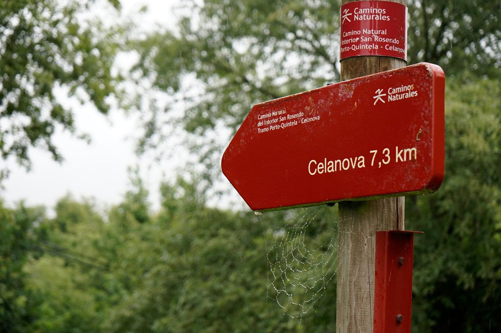 Tramo del camino natural de San Rosendo.