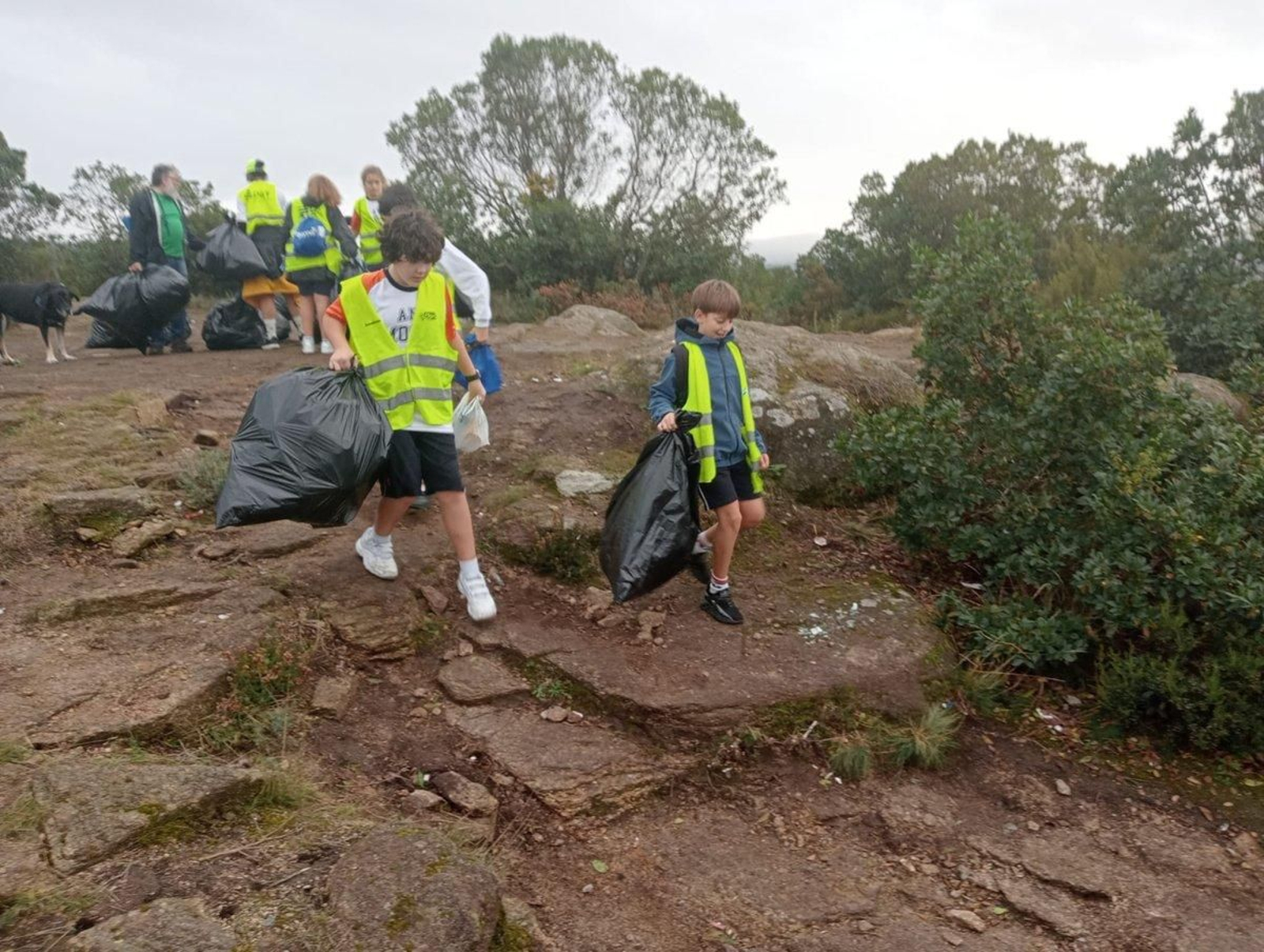 Los Ecovigilantes limpian los restos de la fiesta del magosto.