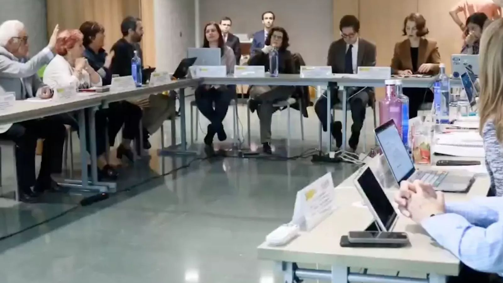 Reunion de las comisiones de trabajo del CGCEE