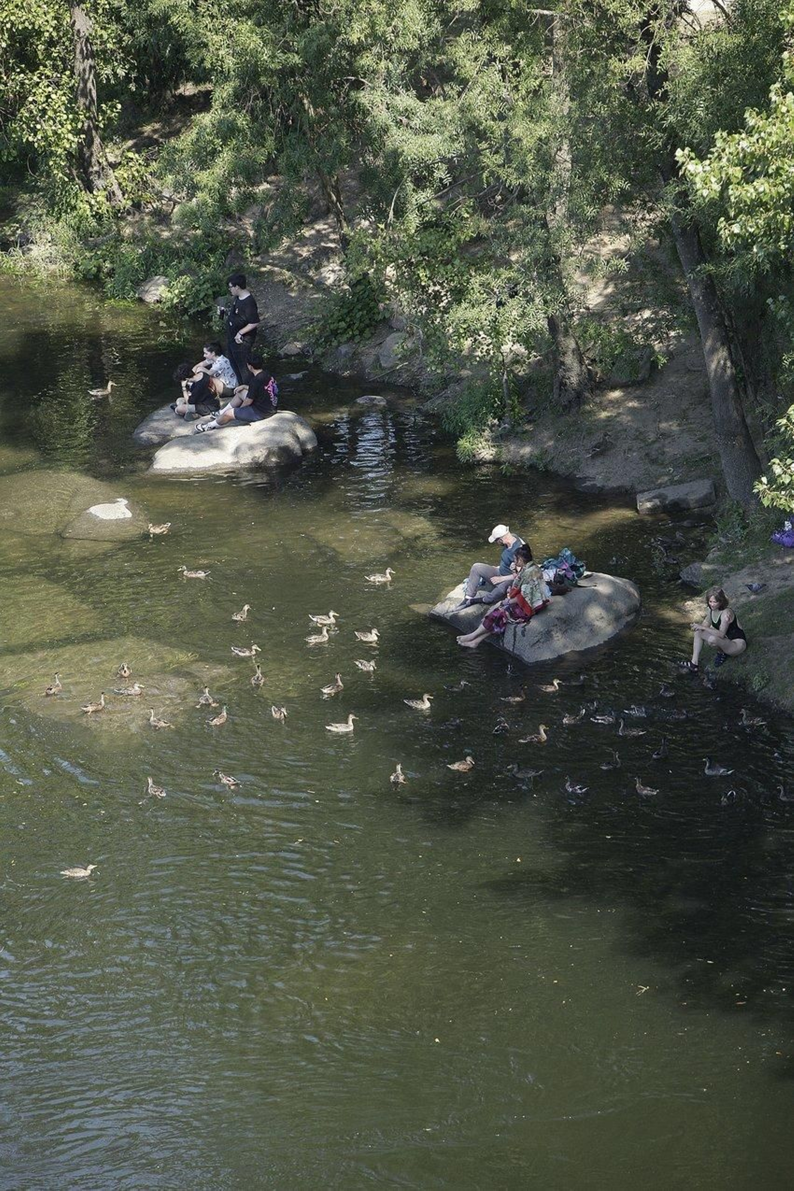 Ourense supera los 38 grados en un día en el que de nuevo marca la máxima gallega // Miguel Ángel