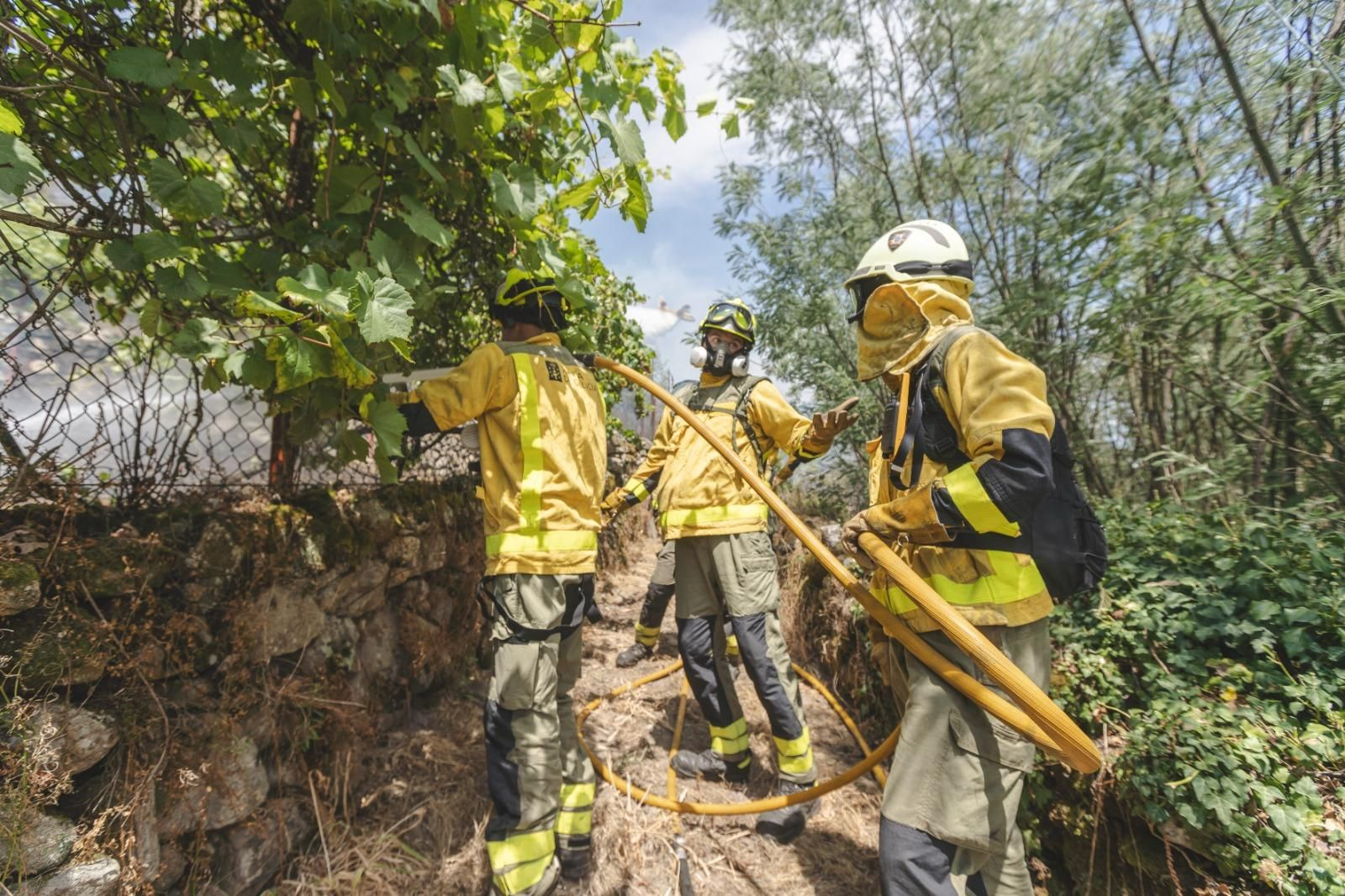 Galería | Los bomberos búlgaros trabajan en la extinción del incendio forestal de Untes, en fotos