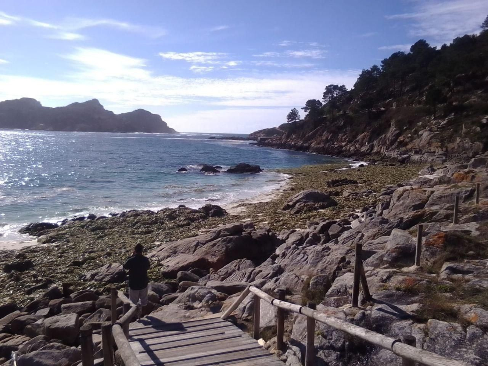 La especie invasora es cada vez más notable en el archipiélago