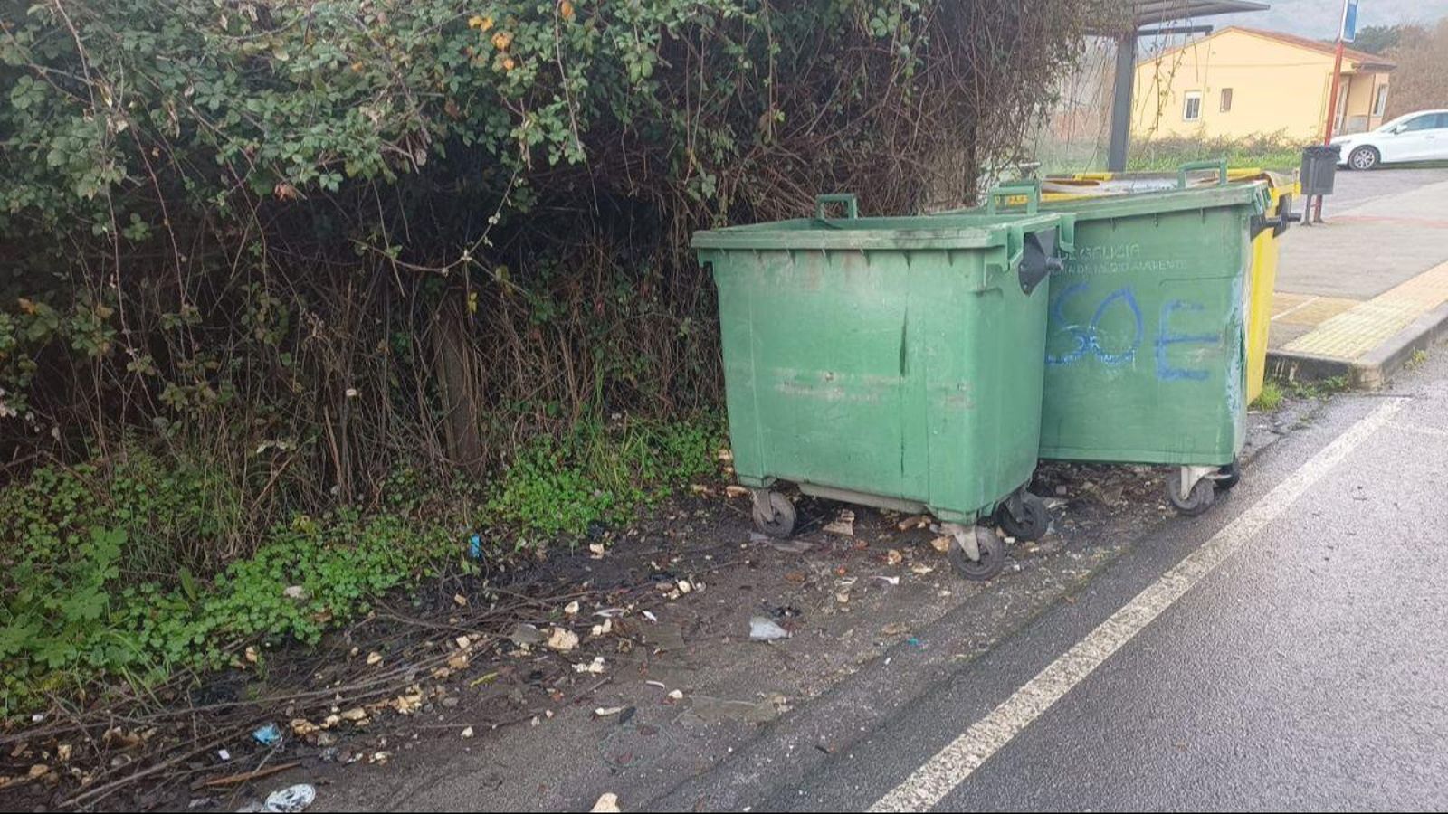 Basura tirada y contenedores rotos