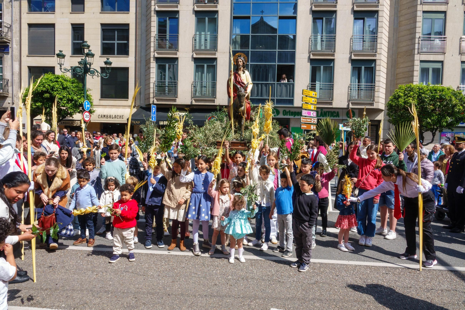 Galería | La procesión de la Borriquita 2025