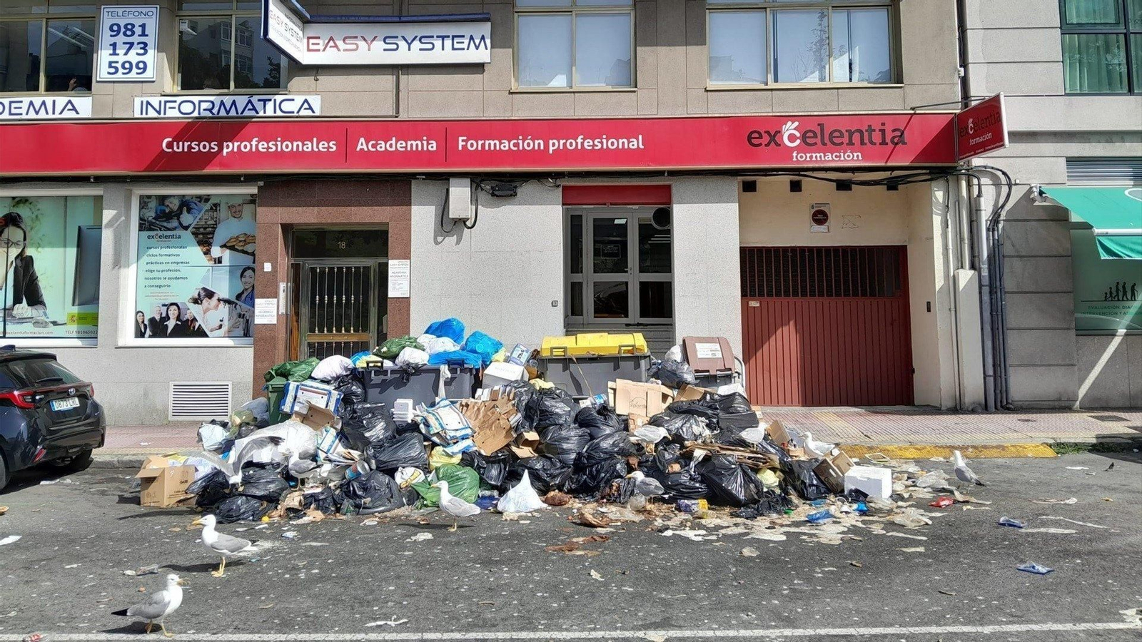 Basura acumulada en una calle de A Coruña, rodeada de gaviotas. EP