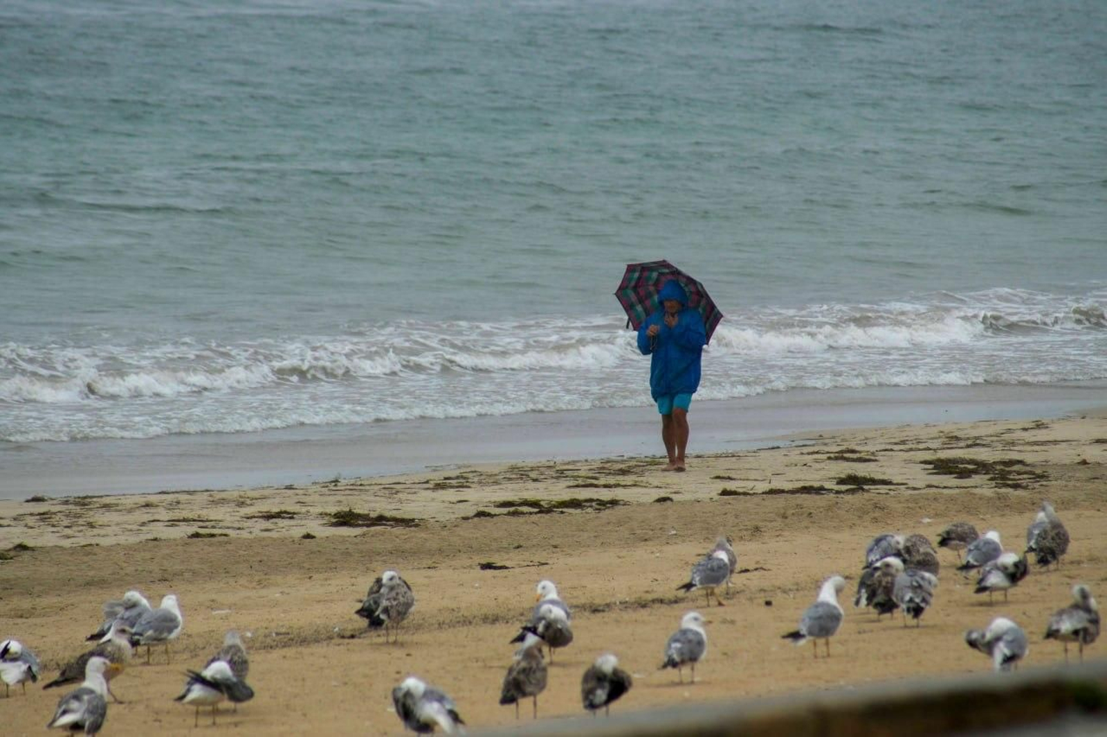 Galería | La lluvia sorprende a Vigo tras meses de tiempo seco