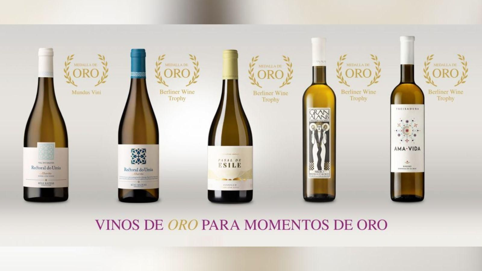 Los cinco vinos de Bodegas Gallegas que han obtenido medallas de oro.