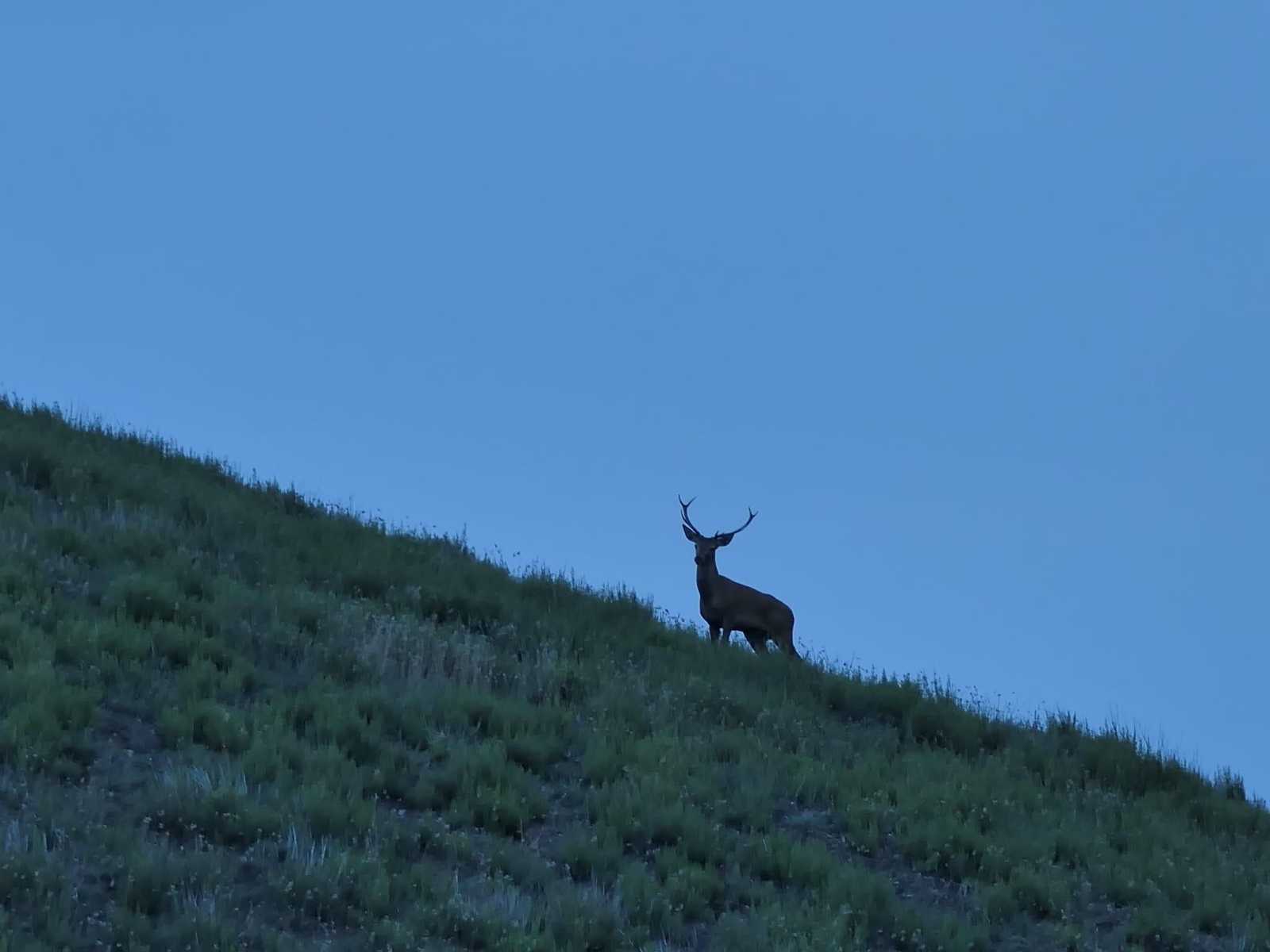 Galería | Así suena el otoño en Ourense: la berrea llena de sonidos las montañas