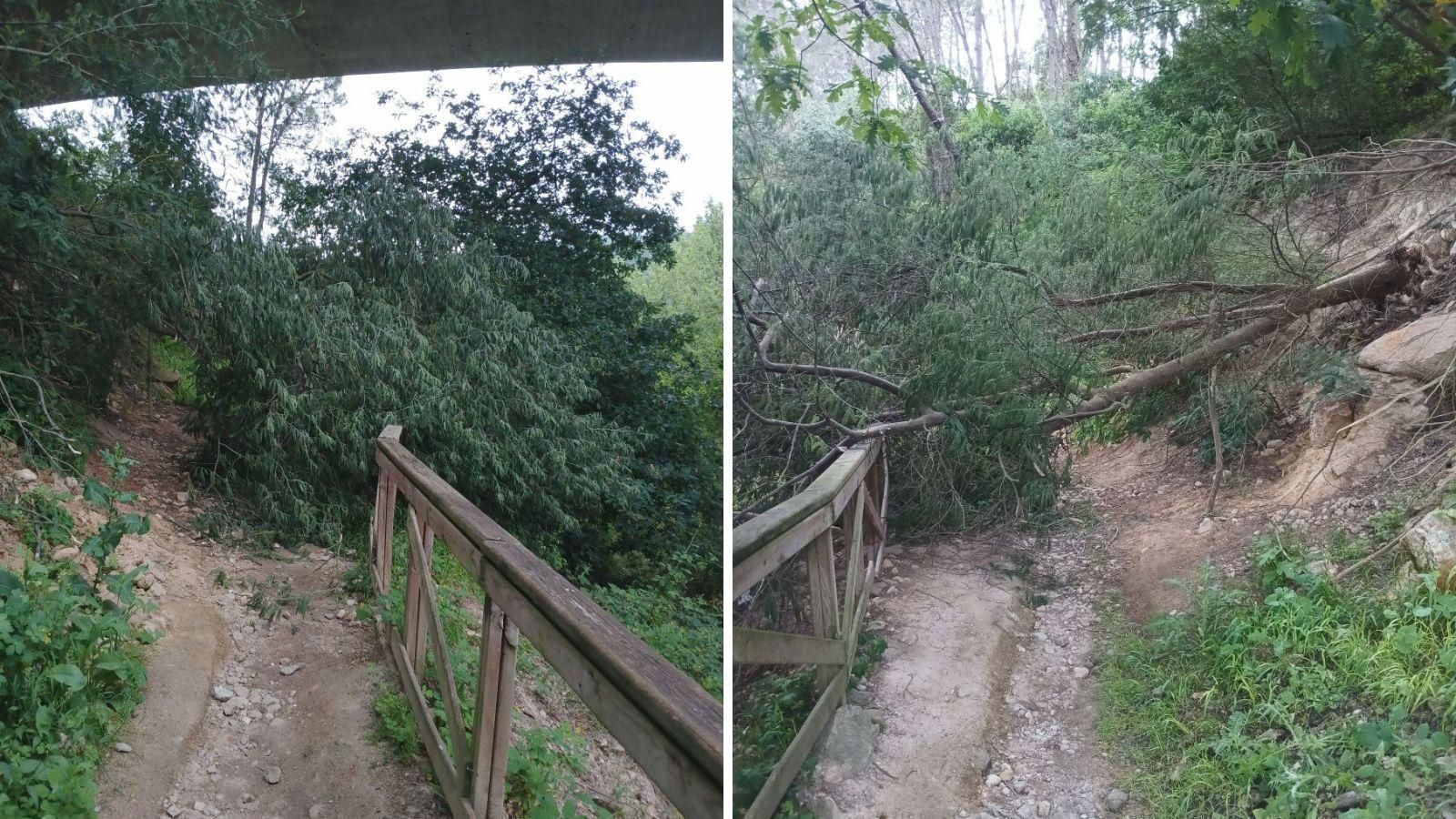 Pésimo estado del Paseo de Outariz.