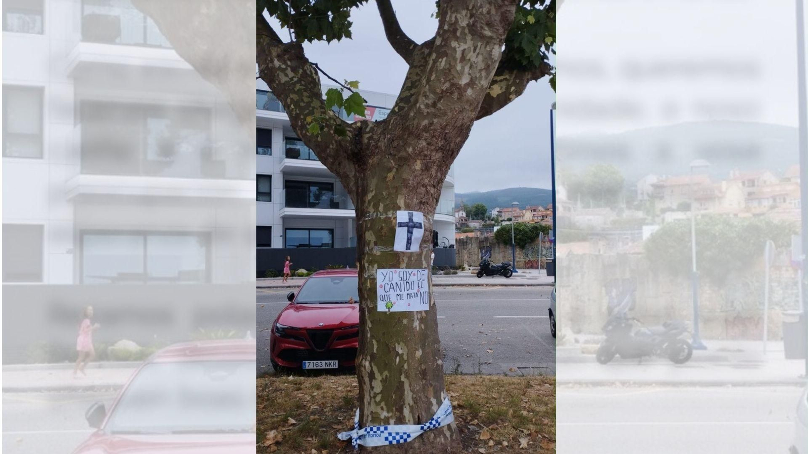 Árbol envenenado en Canido.