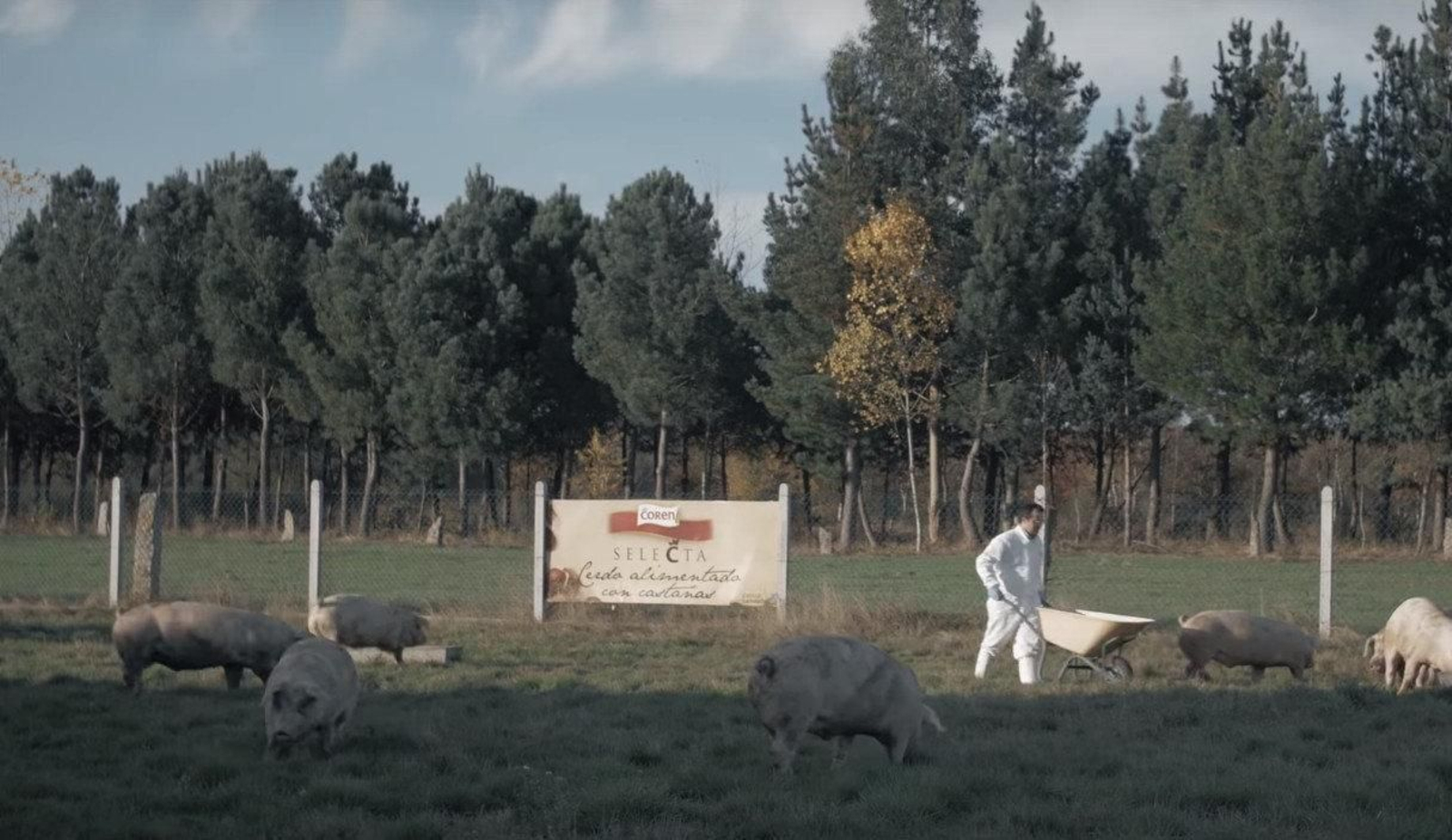 Un operario trabaja en una granja porcina de Coren. (Foto: Spot - "Alimentos de Galicia" | Coren)