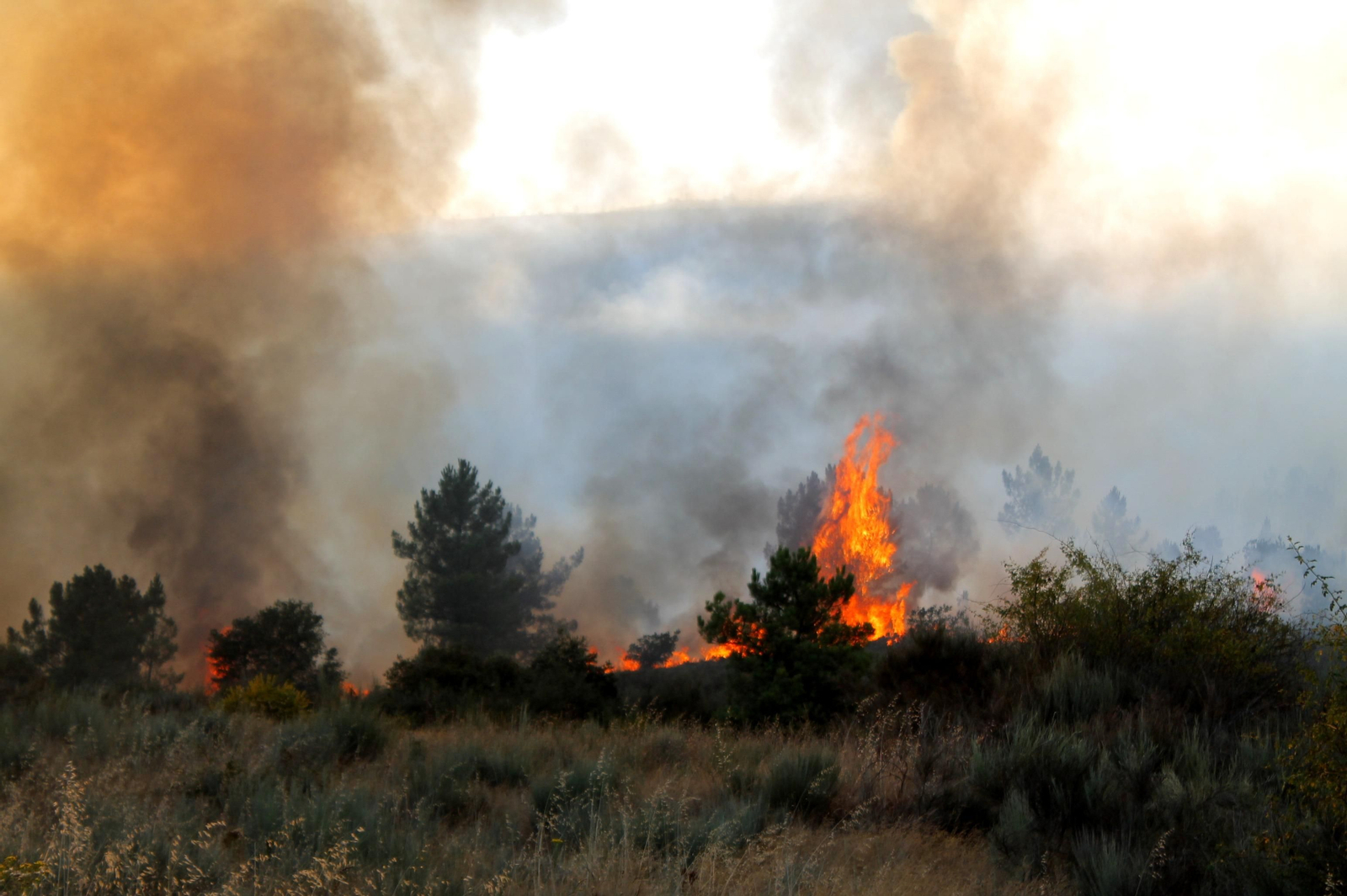 Incendio de Rubiá, ayer por la tarde. // (Isaac Cruz)
