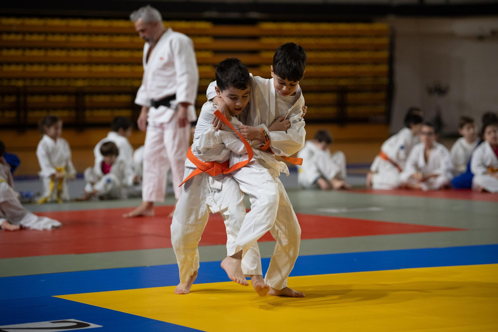 Galería | El judo arranca una edición más de su Copa Diputación